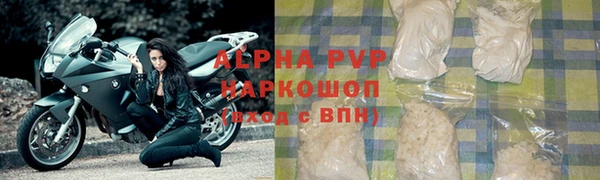 ешки Аркадак
