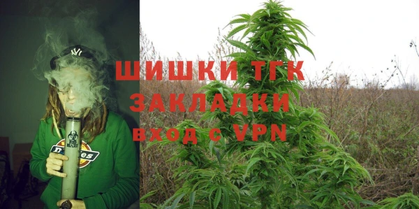ешки Аркадак
