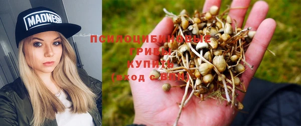 кокс Арсеньев
