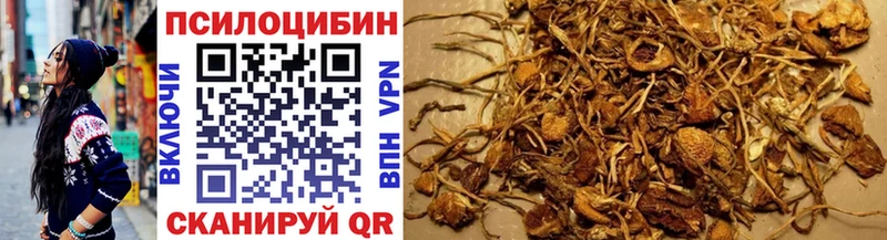 купить наркотик  Палласовка  Галлюциногенные грибы Magic Shrooms 